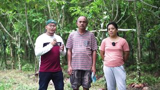 Vanilla Farm - 2nd Most Expensive Spice in the World - 20k -30k pesos per kilograms.