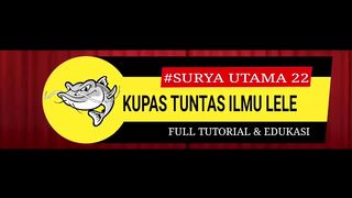 SIAPA SANGKA MODAL CUMA SEGINI BISA JADI KOLAM???? GAS!! BONGKAR CARA PEMBUATANNYA ????
