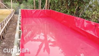 CARA MEMBUAT KOLAM TERPAL MURAH KUAT DAN BERKUALITAS!