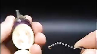 Funny video