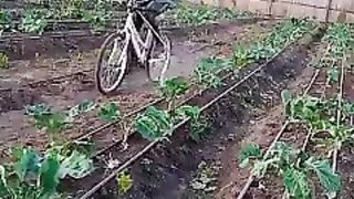 BEST WAY TO SPRAY ON THE FARM