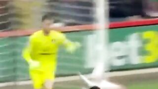 Unbelievable Goal Unleashes Hidden Truth About Keepers You Never Knew