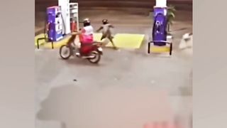 animal skills