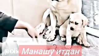 Videos 17