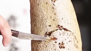 what natural honey looks like in your image #shorts EP891