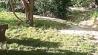 Beautiful garden 2