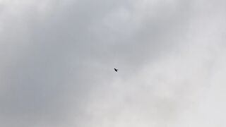 Flying under the skies