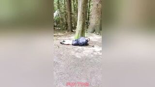 Funny video