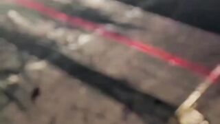 Paul Walker is back