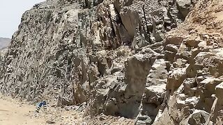 Camel Climb Mountain ????