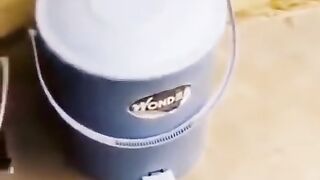 Monkey Funny TikTok video | It will make you laugh ????
