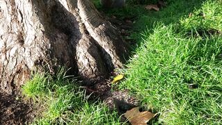Feeding a cute squirrel