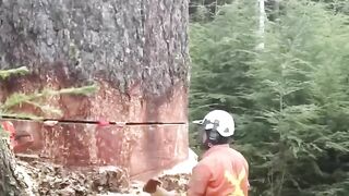 Just out doing my job