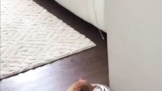 Funny Cats Compilation 2022 - watch this to laugh your head off ????.mp4