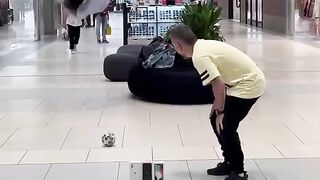 They are stupid????