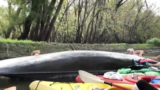 Try Not To Laugh - Funniest Fail Moments Of BIG KIDS ll Happy Kid Funny Videos