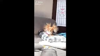 Must Watch New Funniest Comedy