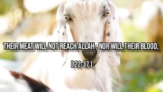 Tlawate_Quran, Quran_alkarim, Eid2023,