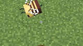 Minecraft TikTok Hacks That Actually Work #Shorts
