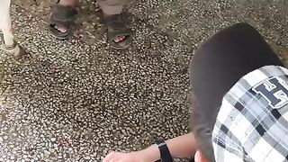 Pets lover 2