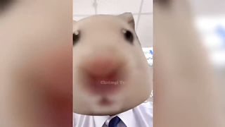 IMPOSSIBLE DE NE PAS RIRE _ CHALLENGE 100_ PERDANT _------COMPILATION Vidéos Drôles 2023