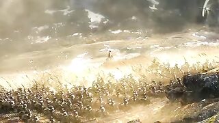 Best Hollywood action movie scene