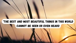 The best and most beautiful things...