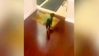 Funniest Cats And Dogs Videos ???? - Best Funny Animal Videos 2023 2