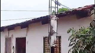 kucing lucu #funnyvideo #funny