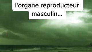 Vidéo insta