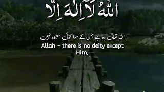 Best telawat