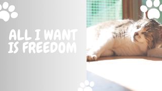 All I like is Freedom!