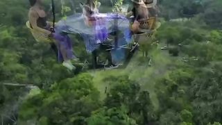 ???????????? 132