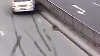 SPEED LIMIT SHOULD BE OBSERVED WHILE DRIVING