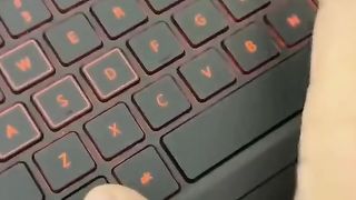 msktechnicalskill_2023-06-27-14-20-50_1687857650704.