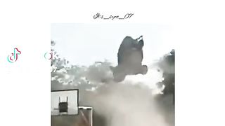 Funny 827