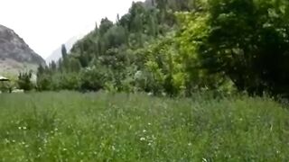 Watan mate hayran ya jazira gomre kia goman