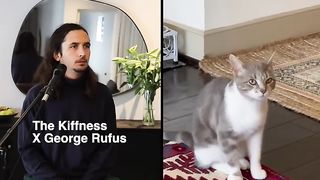 The Kiffness x Lonely Cat - Sometimes I'm Alone (Singing Cat) 2