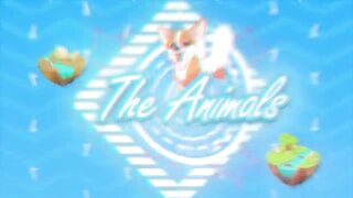 Best Funny Animal Videos Of The 2023 5