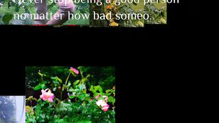 Motivation 256