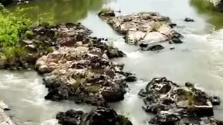 Beautiful nature 22