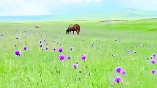 incredible Nature Views Going Viral on Febspot