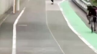 Vidéo drôle 19