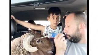 Мааа