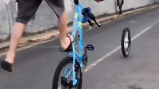 Vidéo drôle 21