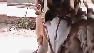 Funny video