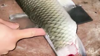 #fish #Food