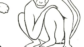 Karaté mouvement de singes