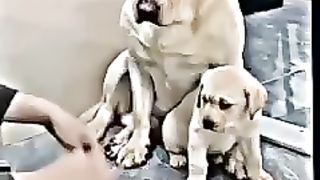Mother love status, Love  video, maa ka pyar