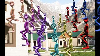 Baby Calm Down _ Patila - The Dusk Call _ Funny frog dance 2